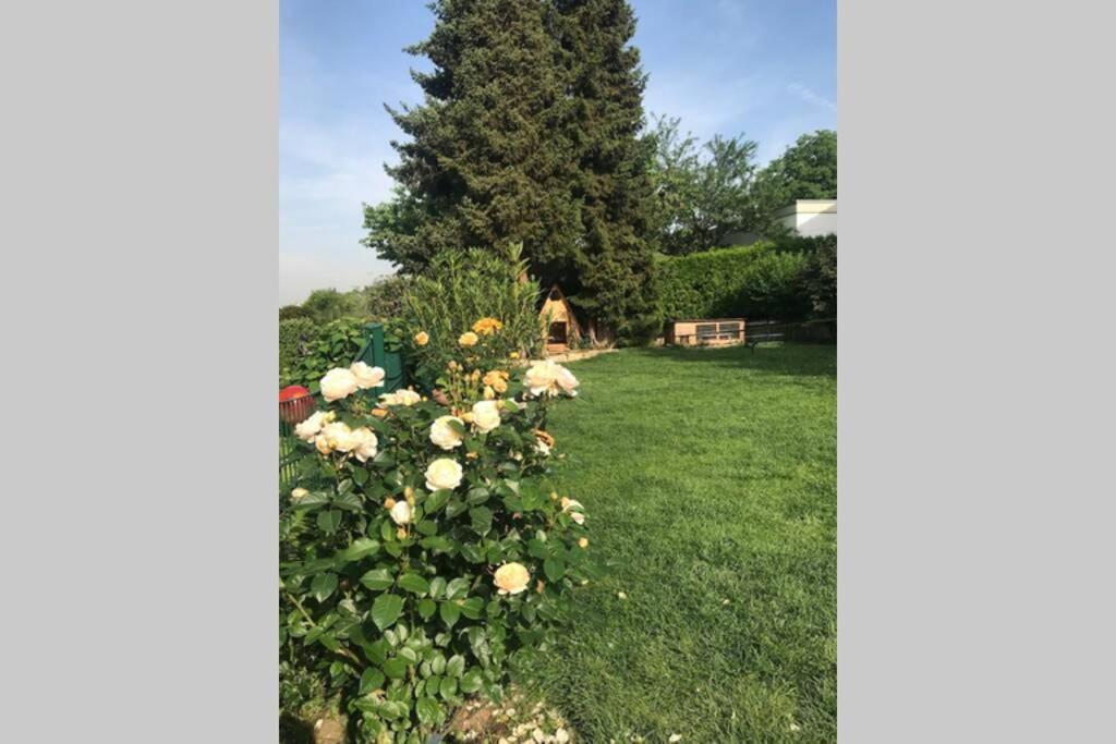 Esslingen Apartment: Long-Stay Comfort near Stuttgart Messe & Airport Altbach Exterior photo